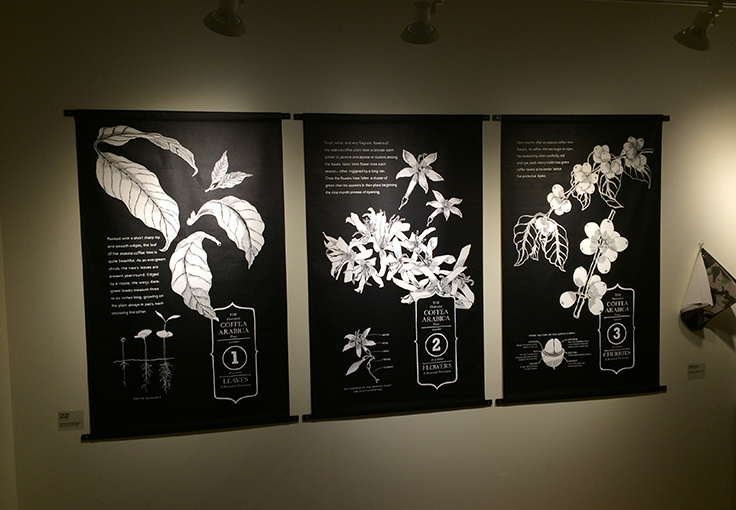 Botanical Plate Series at Starbucks Corporate offices, SODO Seattle.