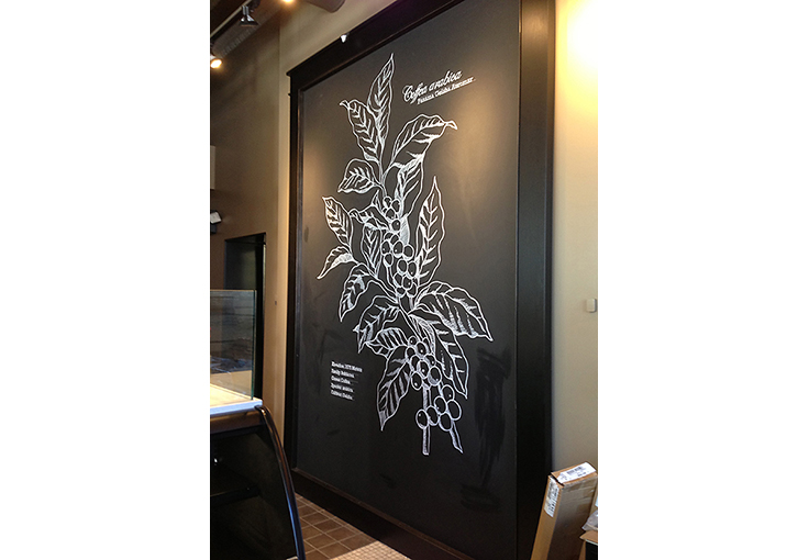 Botanical Illustration and Pike and Broadway Starbucks Café, Chalk pen.