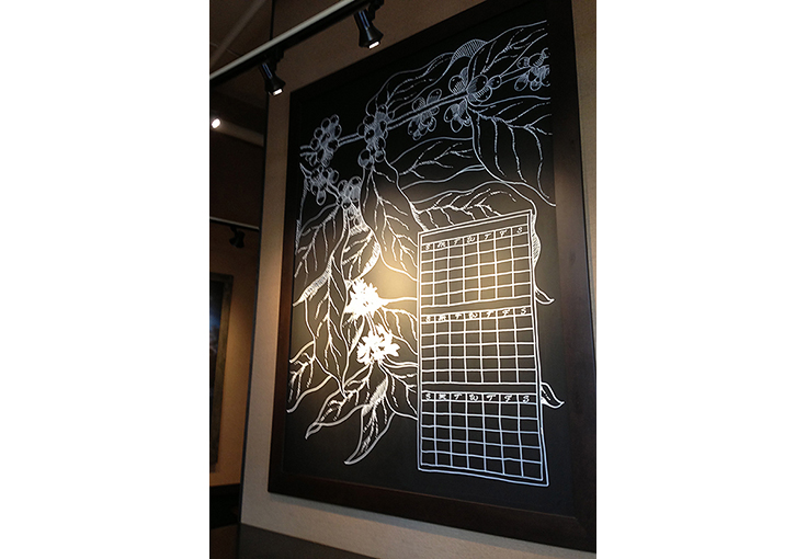 Botanical Illustration and Pioneer Square Starbucks Café, Chalk pen.